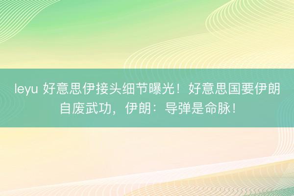 leyu 好意思伊接头细节曝光！好意思国要伊朗自废武功，伊朗：导弹是命脉！