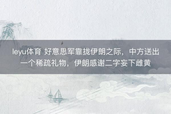 leyu体育 好意思军靠拢伊朗之际，中方送出一个稀疏礼物，伊朗感谢二字妄下雌黄